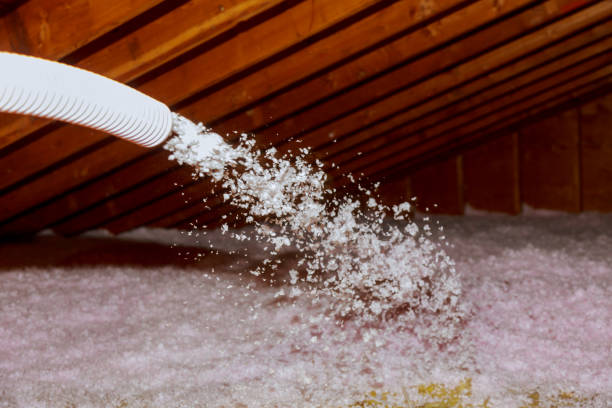 Best Residential Insulation in Duboistown, PA
