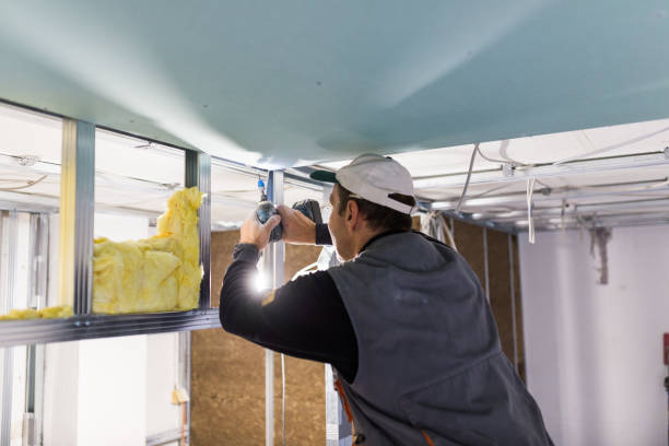 Best Eco-Friendly Insulation in Duboistown, PA