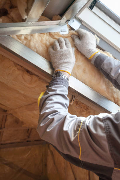 Types of Insulation We Offer in Duboistown, PA
