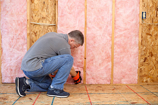 Best DIY Insulation Kits and Guidance in Duboistown, PA